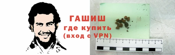 сатива Аркадак