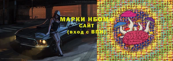сатива Аркадак