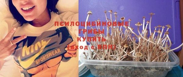 соль курить ск Армянск
