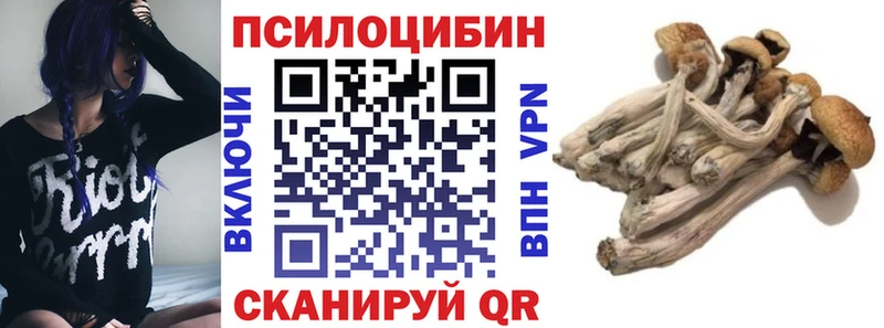 Галлюциногенные грибы Cubensis Устюжна
