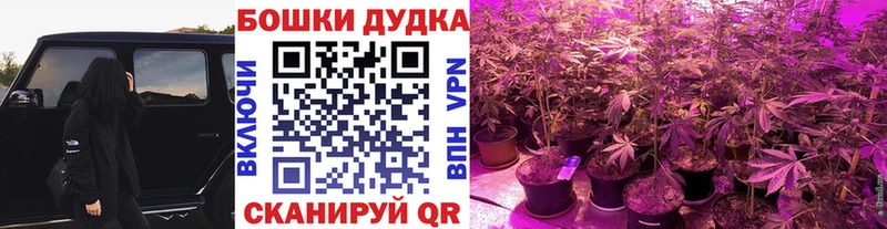 MEGA онион  даркнет сайт  Устюжна  Шишки марихуана AK-47 